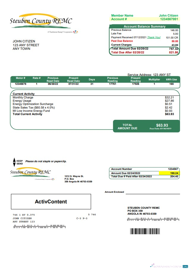 download download USA Steuben Country REMC utility bill template in Word and PDF format PDF template PDF template